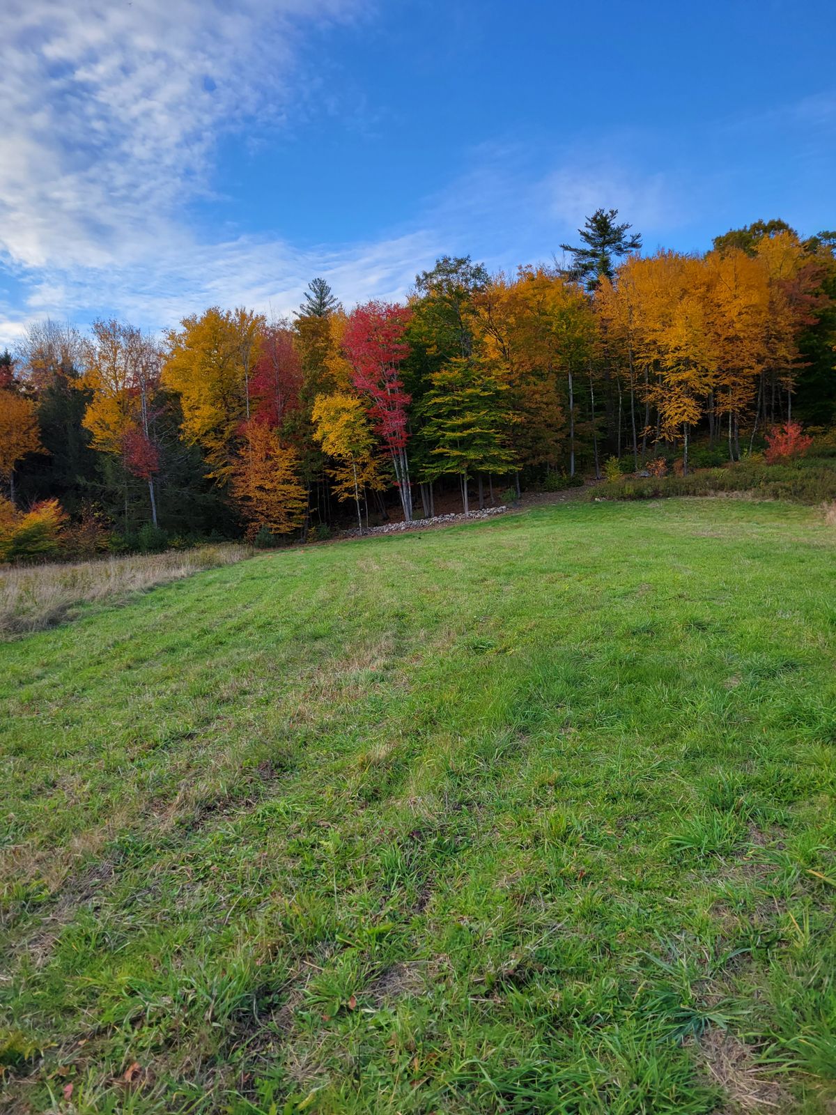 Hole 16 from the tee.