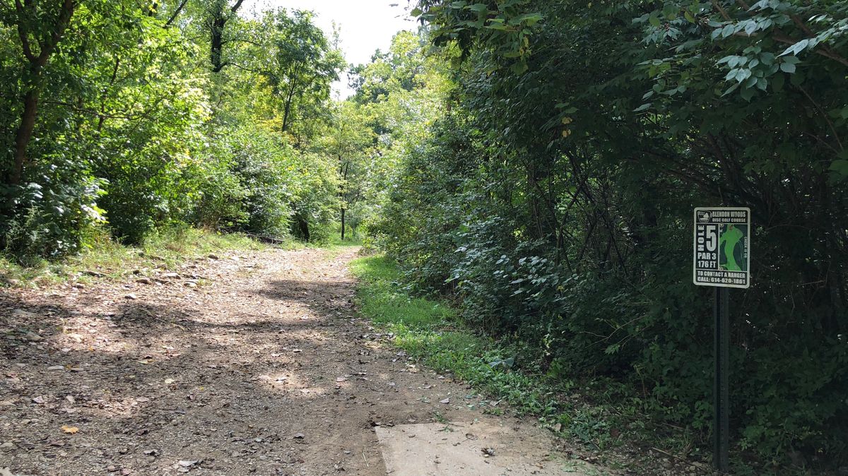 Hole 5