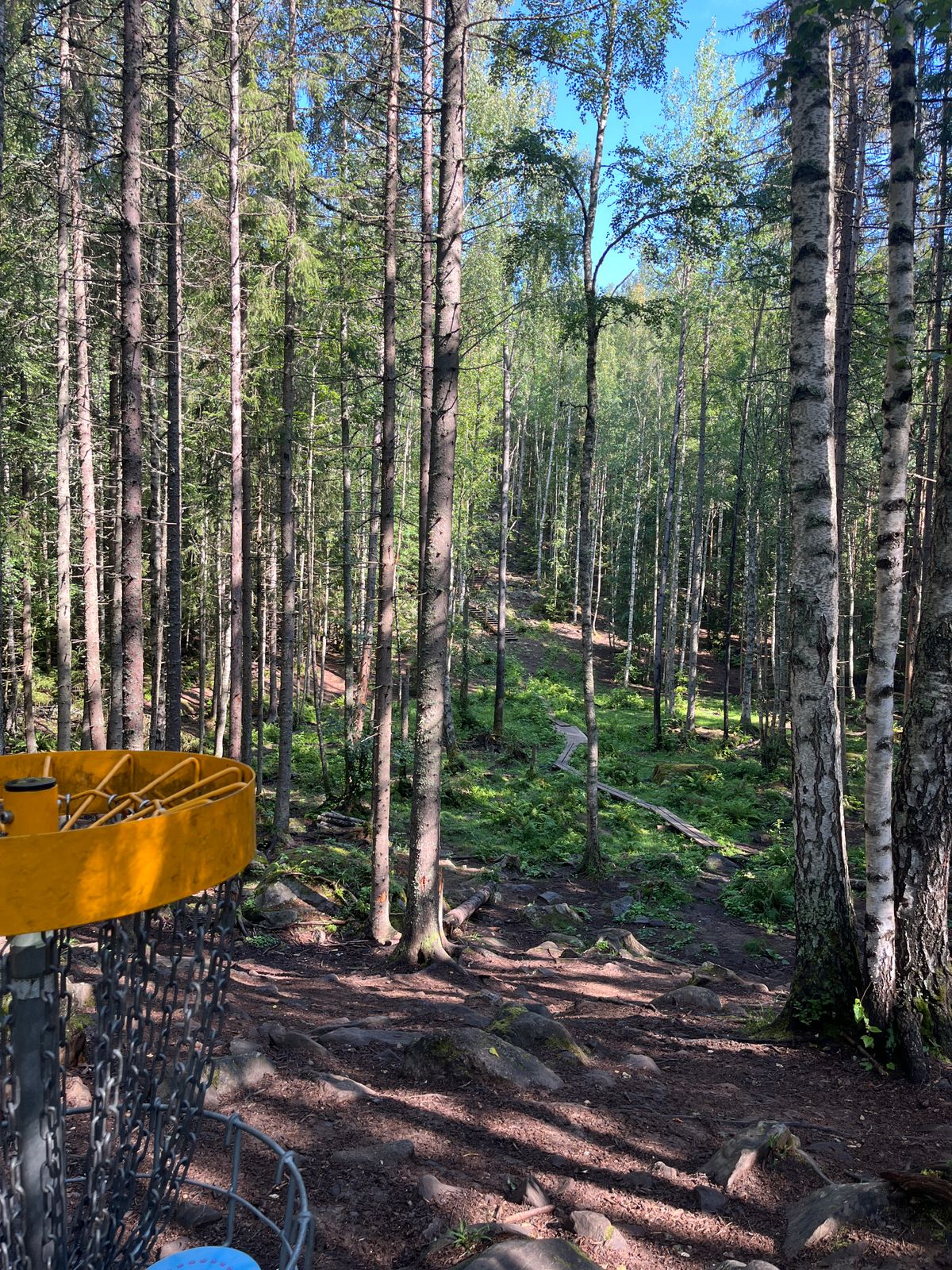 Hole 10, basket to tee