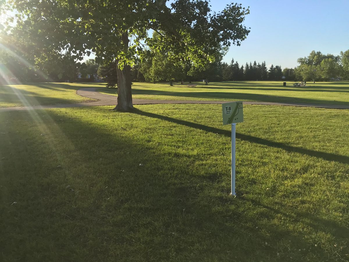 Hole 8 tee pad