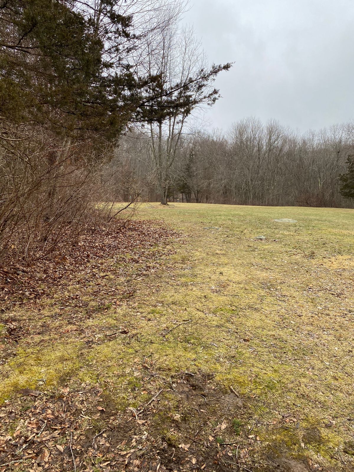 Hole 7 tee