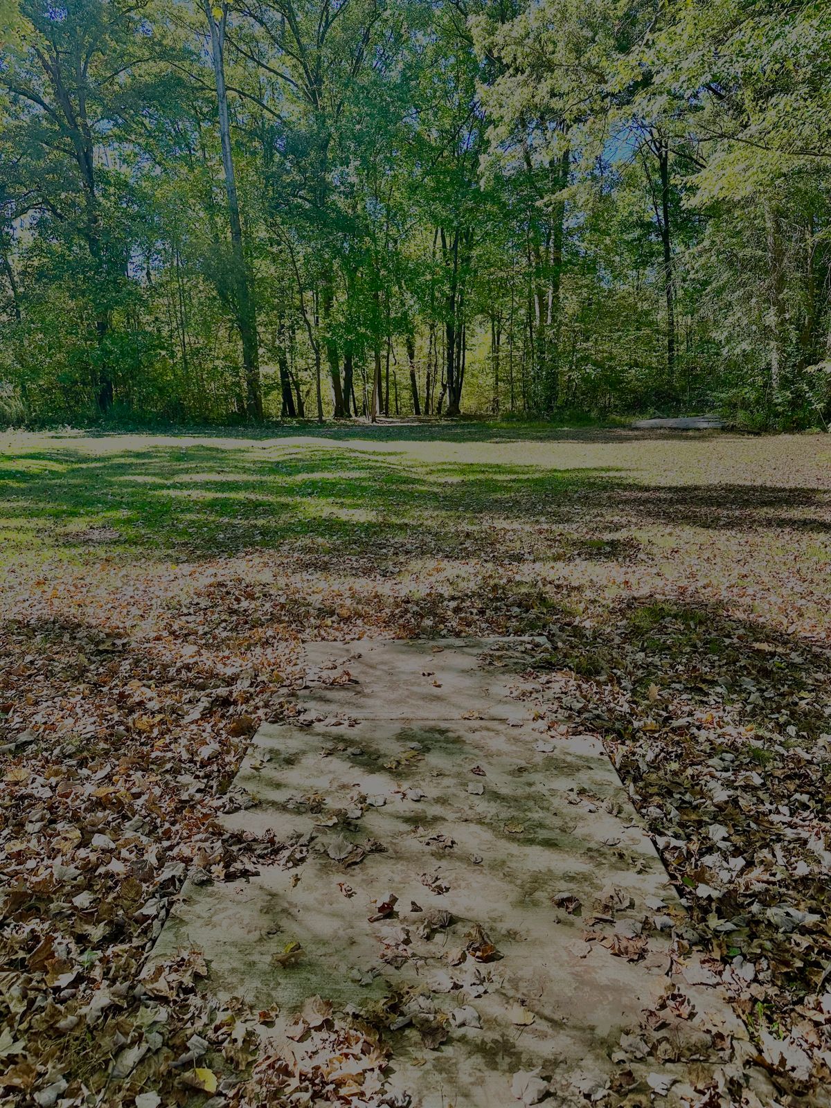 Tee Pad Hole 18