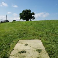7 - Par 3 - 213’