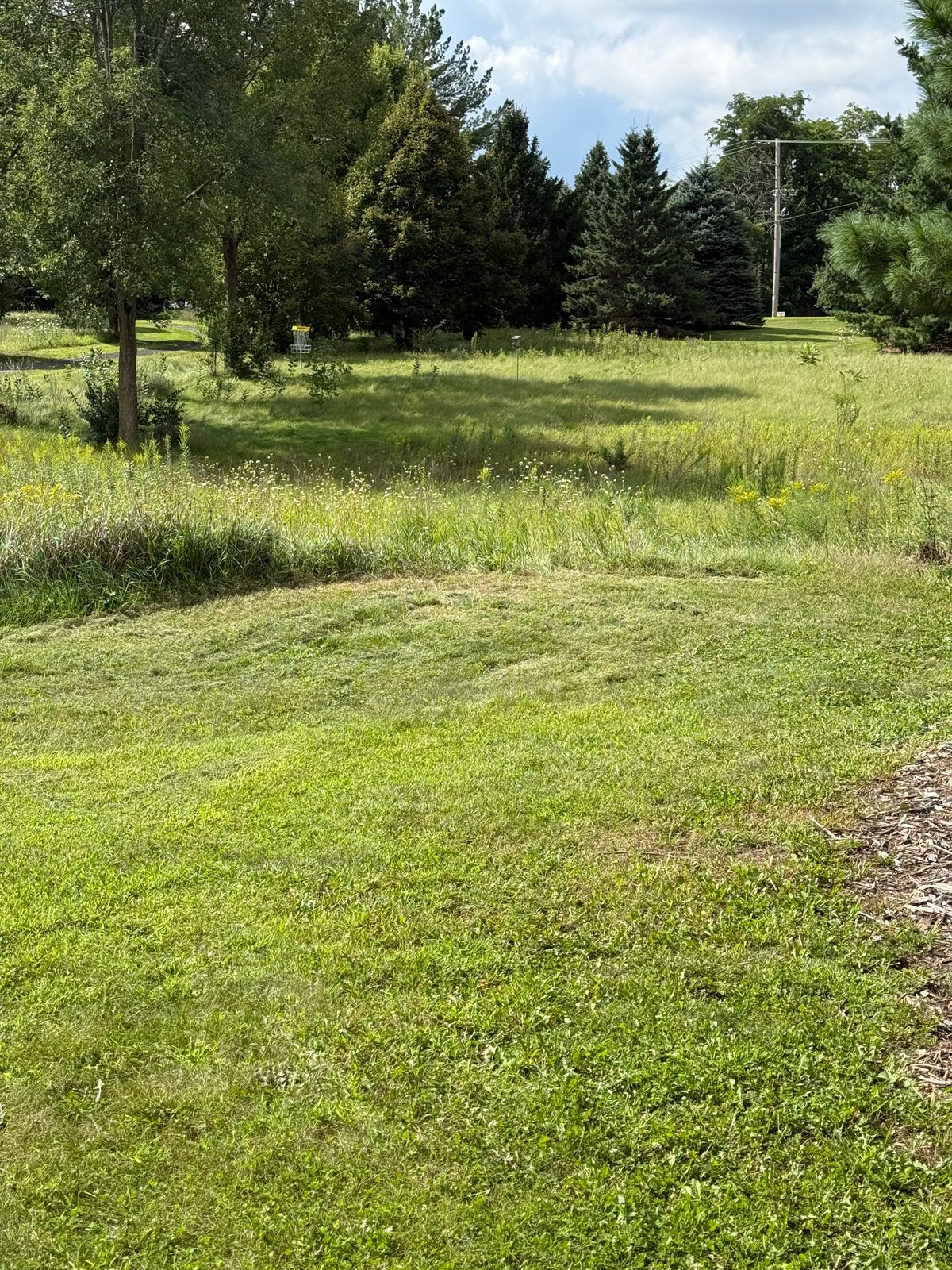 Hole 1 tee area by basketball court/bench looking uphill at basket