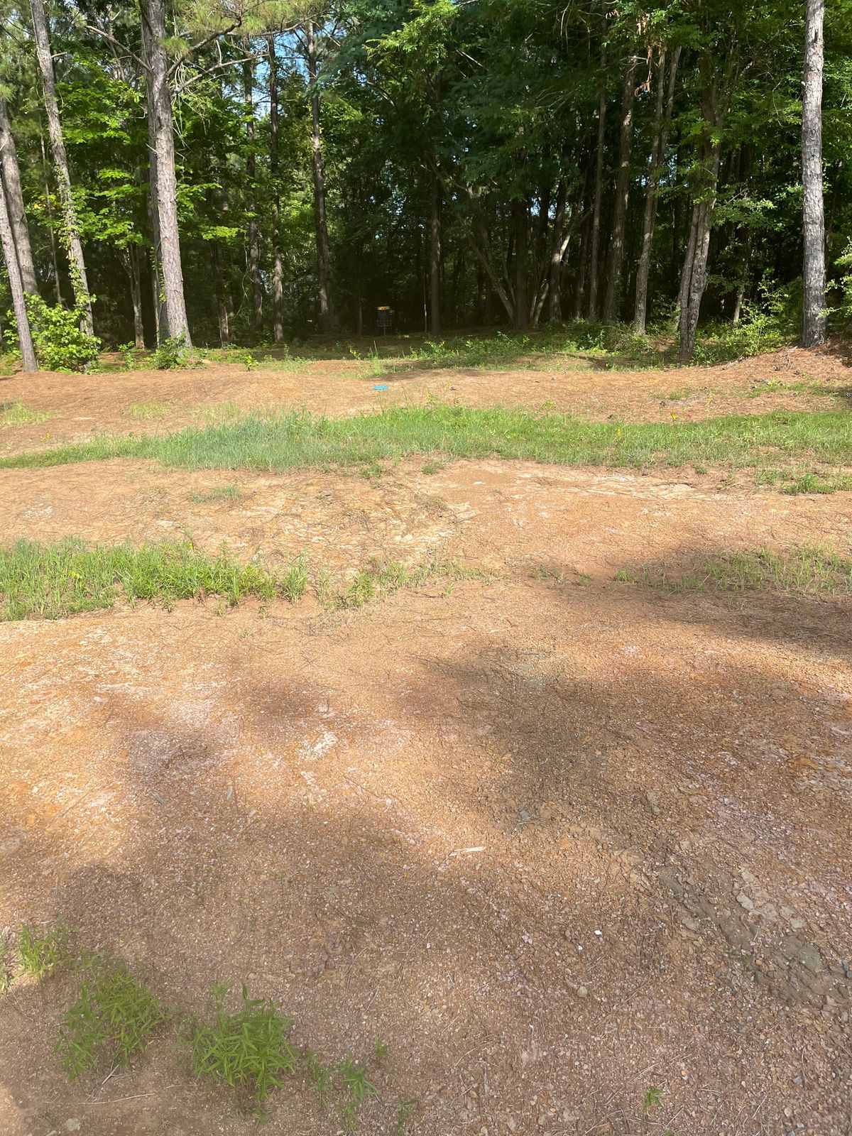 Finish to hole 6