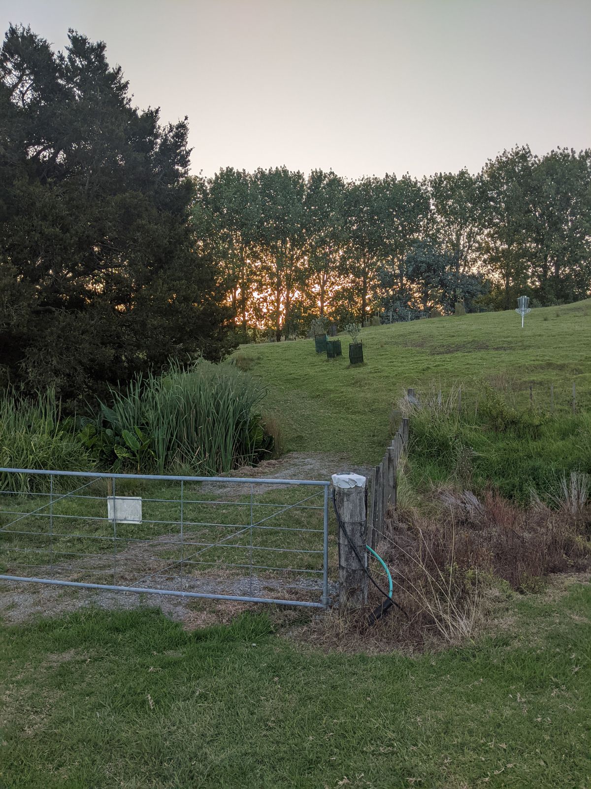 Gate to practice basket and hole 1 teepad through trees.