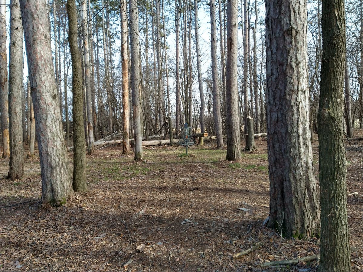 Hole 4 from the side