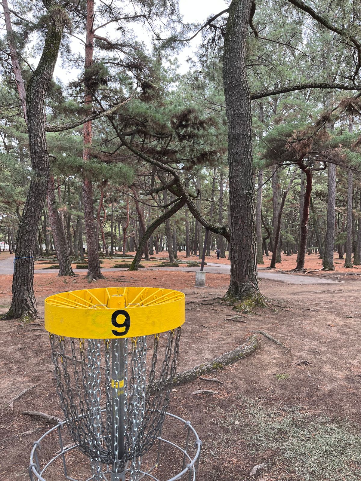 Hole9 basket