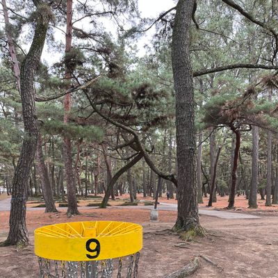 Hole9 basket