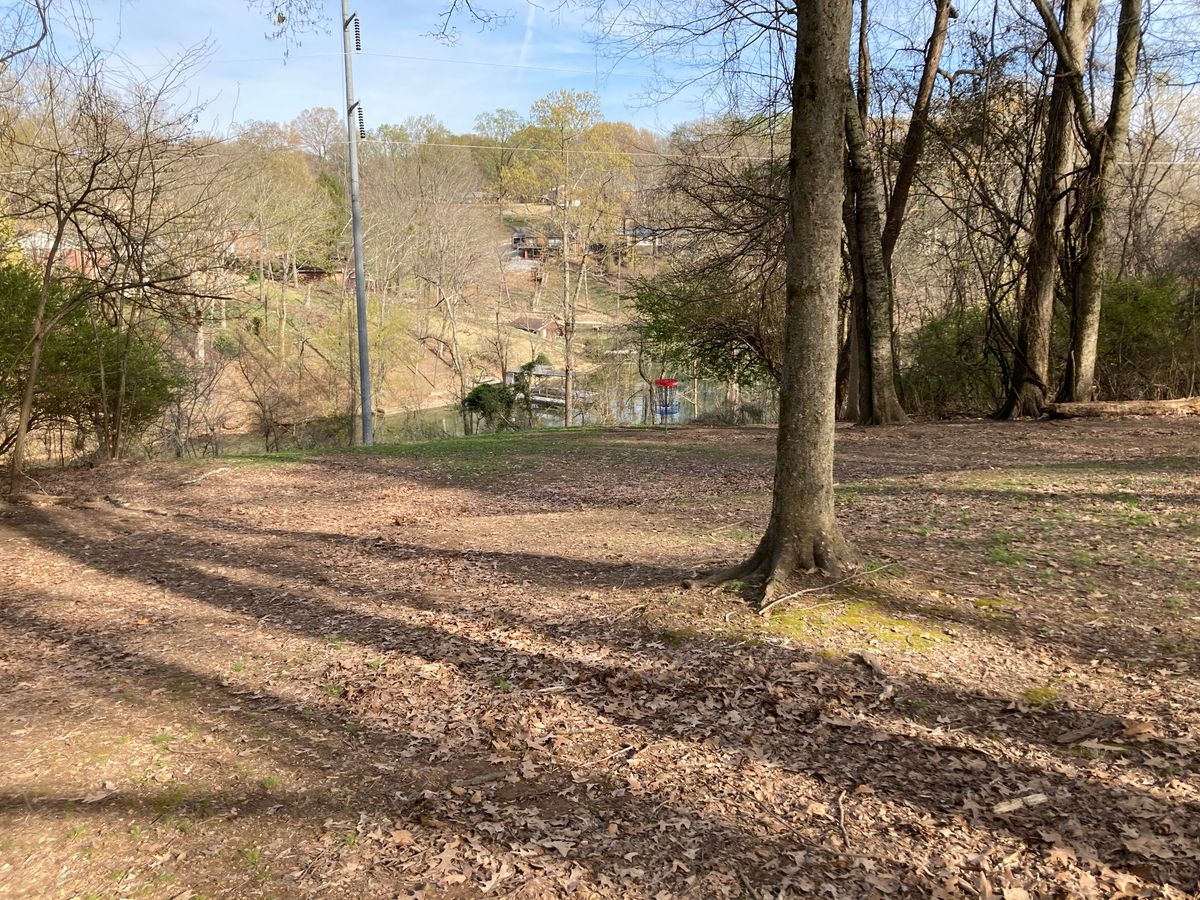 Hole 9 baskets in front of a steep bank