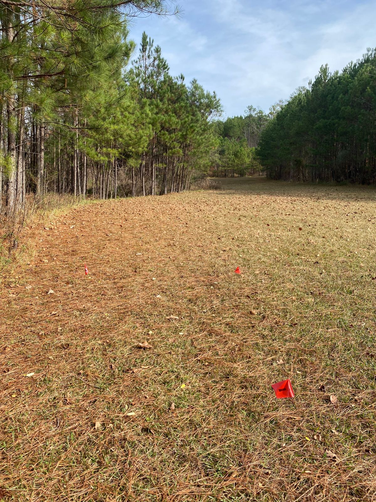 Alternate Tee 7 (unless a building is built in this area)