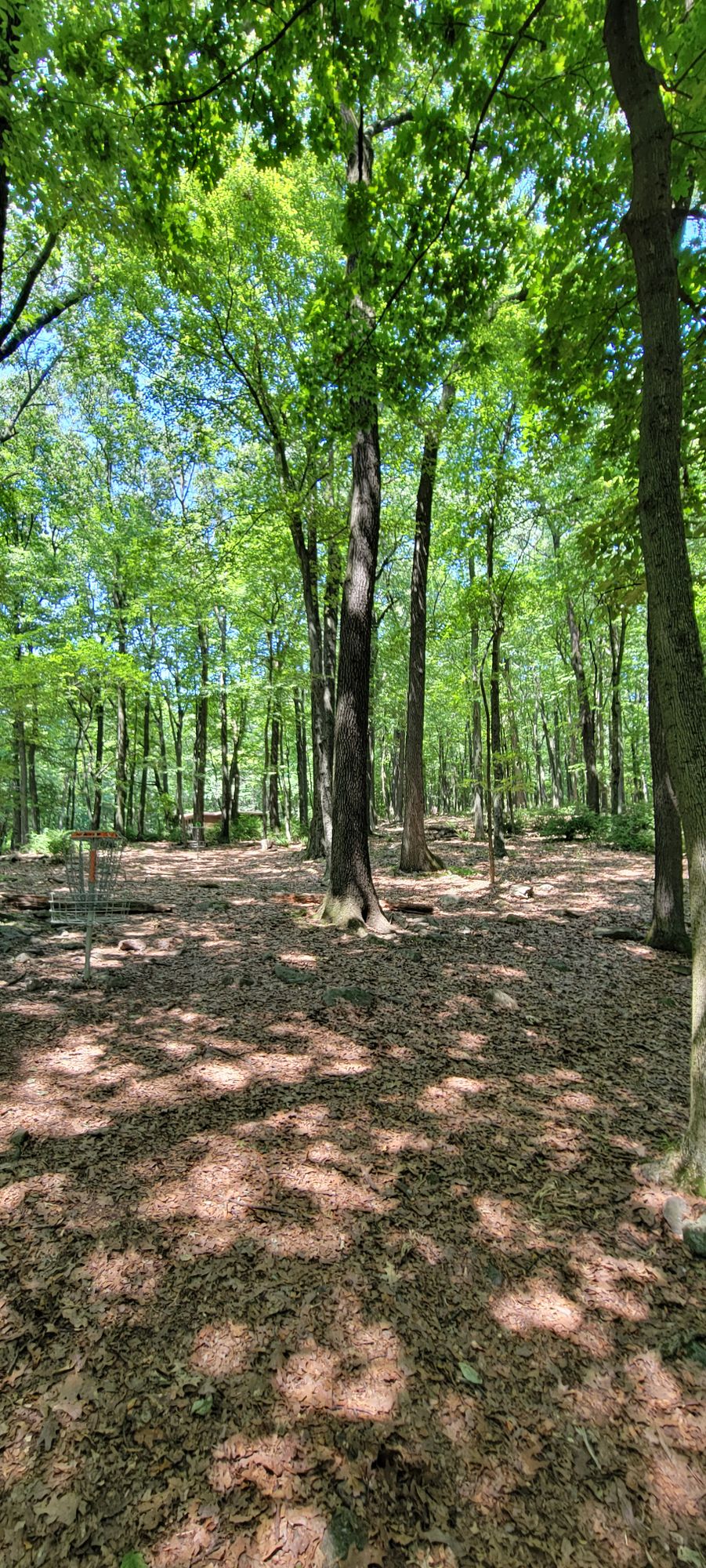 All 3 of Hole 5's pin positions from the white tees fairway.