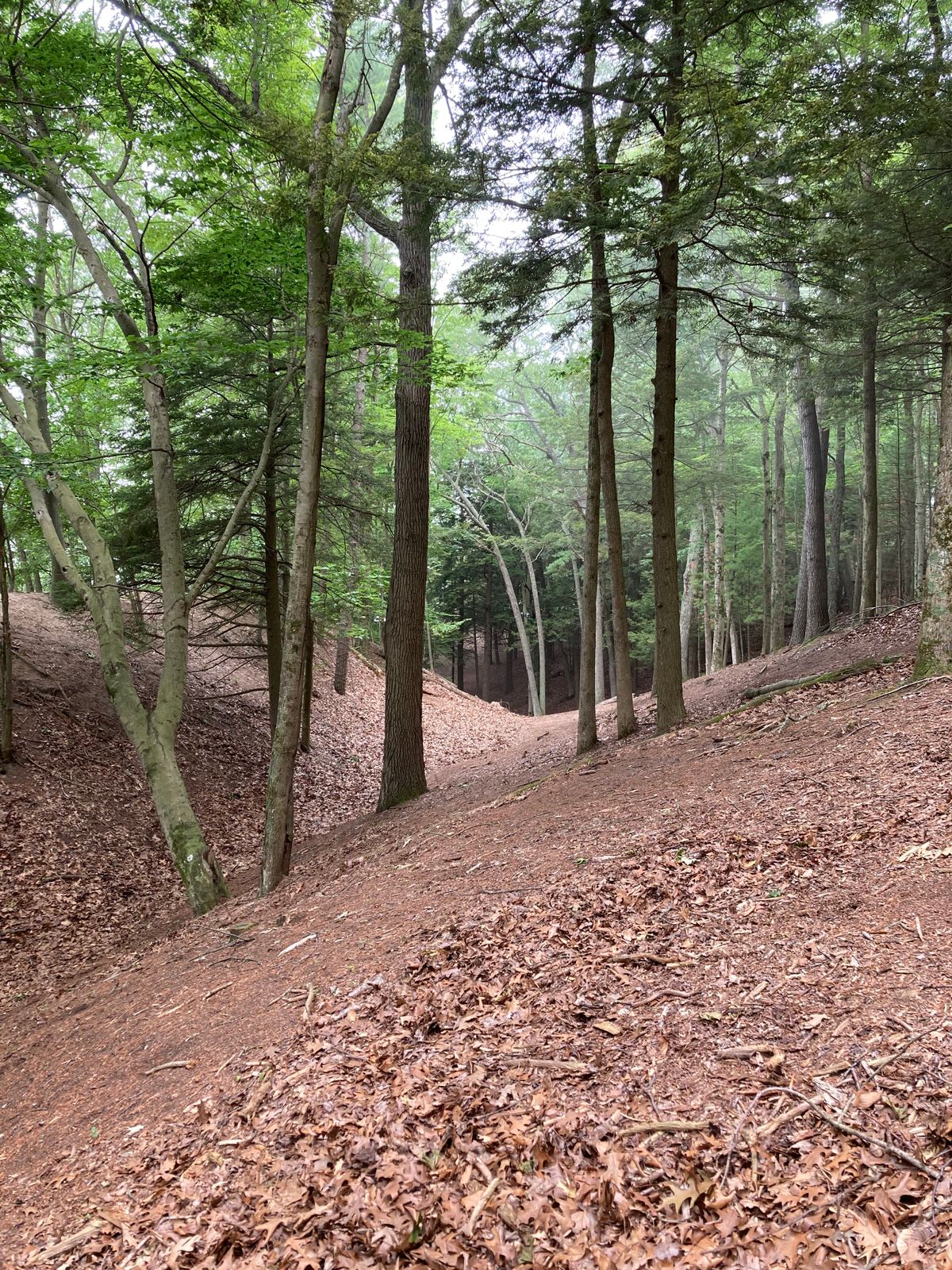 500ish ft hole through a tree valley