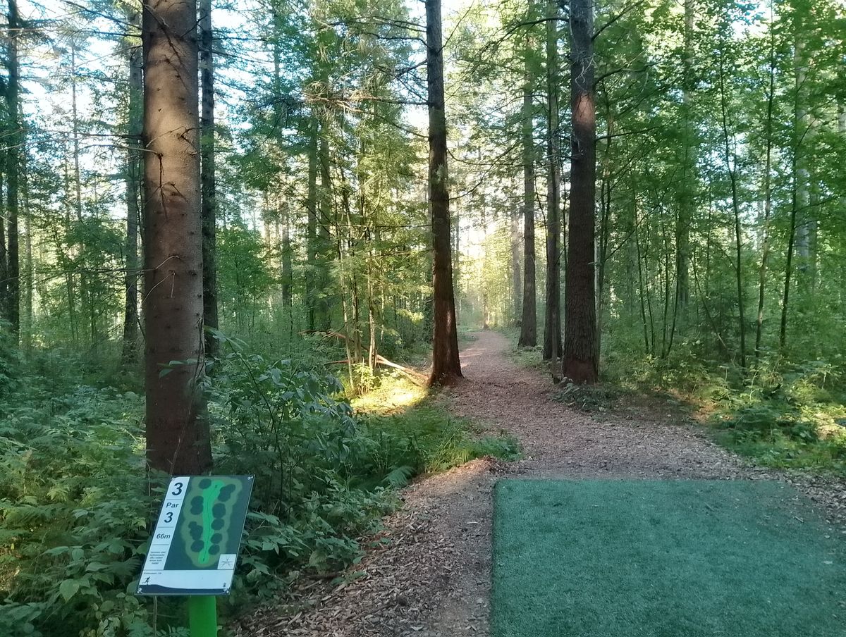 Hole #3.