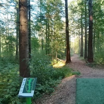 Hole #3.