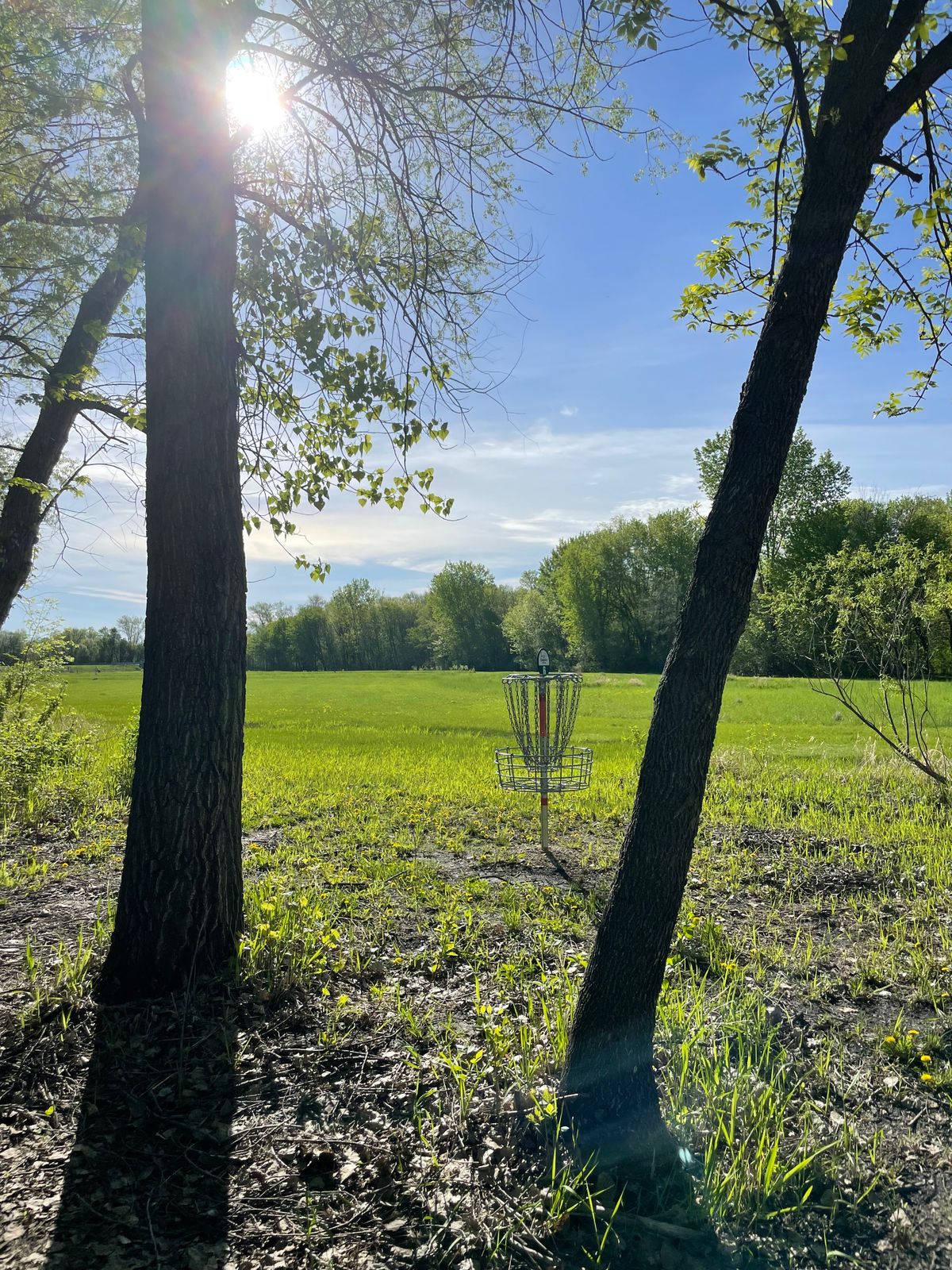 End of Hole 6 I think. Fun tunnel shots through limited woods.