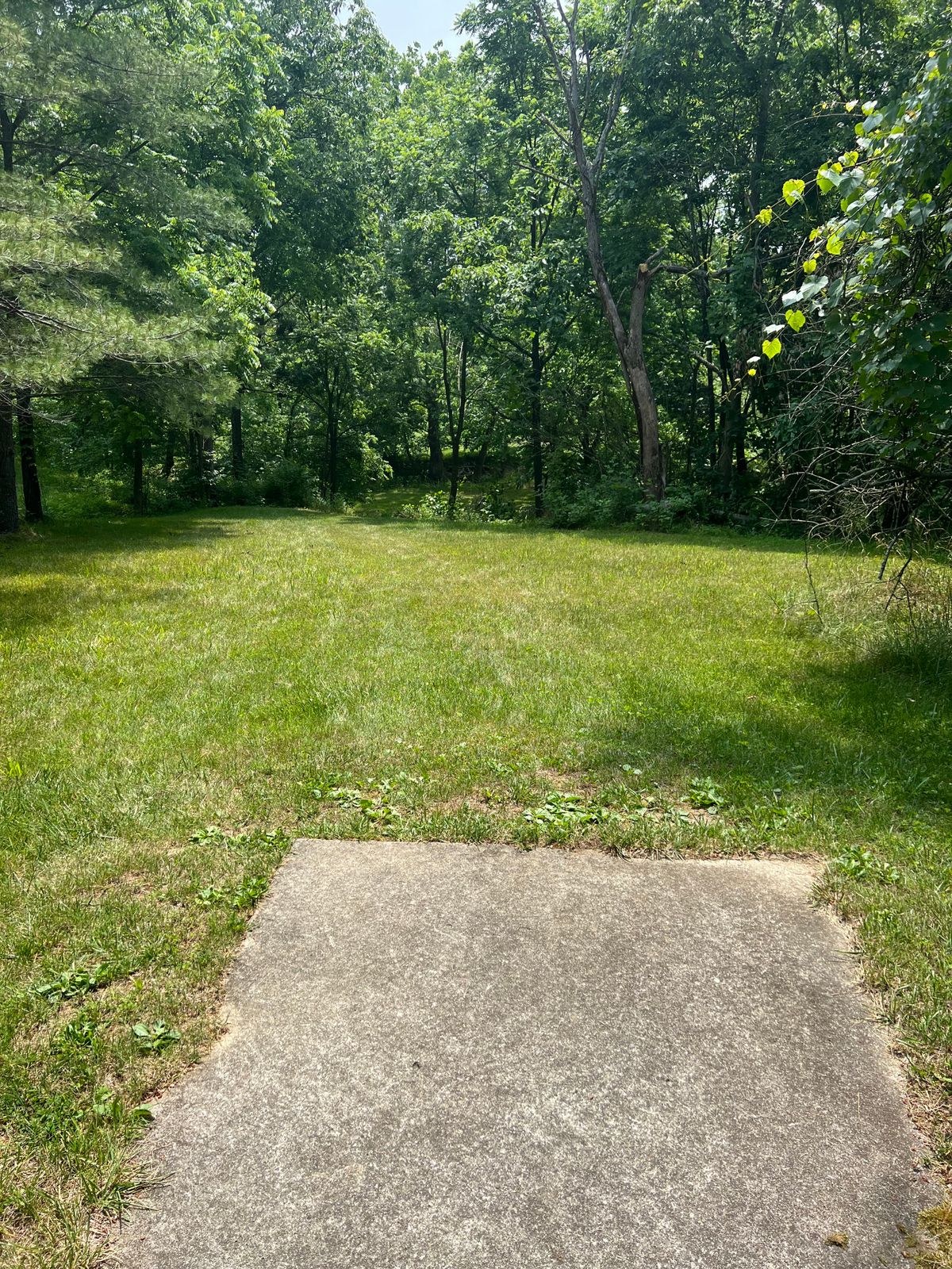 Hole 16, picture does not do this justice, more to come, but this is a tunnel, up and over, spray and pray shot...  basket is well below, with danger of the creek right in front of the basket. Good luck on this one, there is definitely bragging rights on the line for the best shot of the card on this hole!