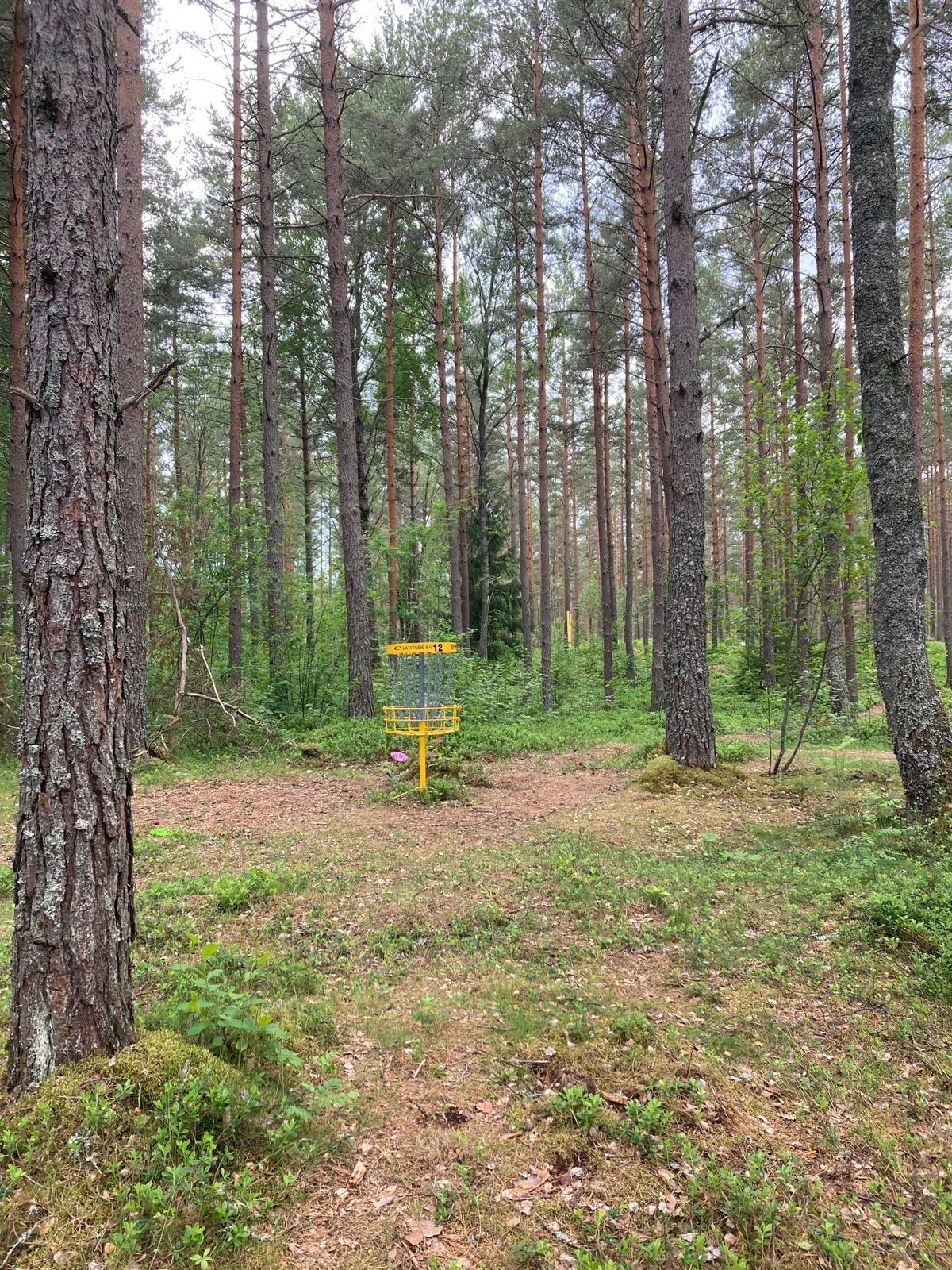Green hål 12