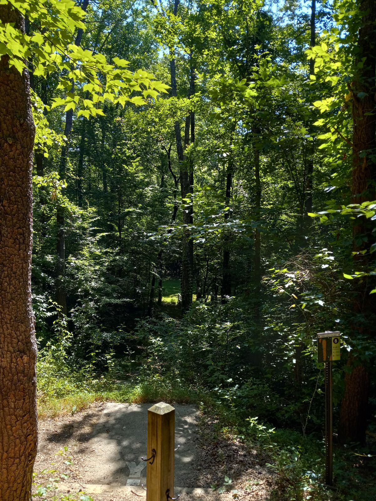 Lot of uphill and downhill shots. Definitely a hike :)