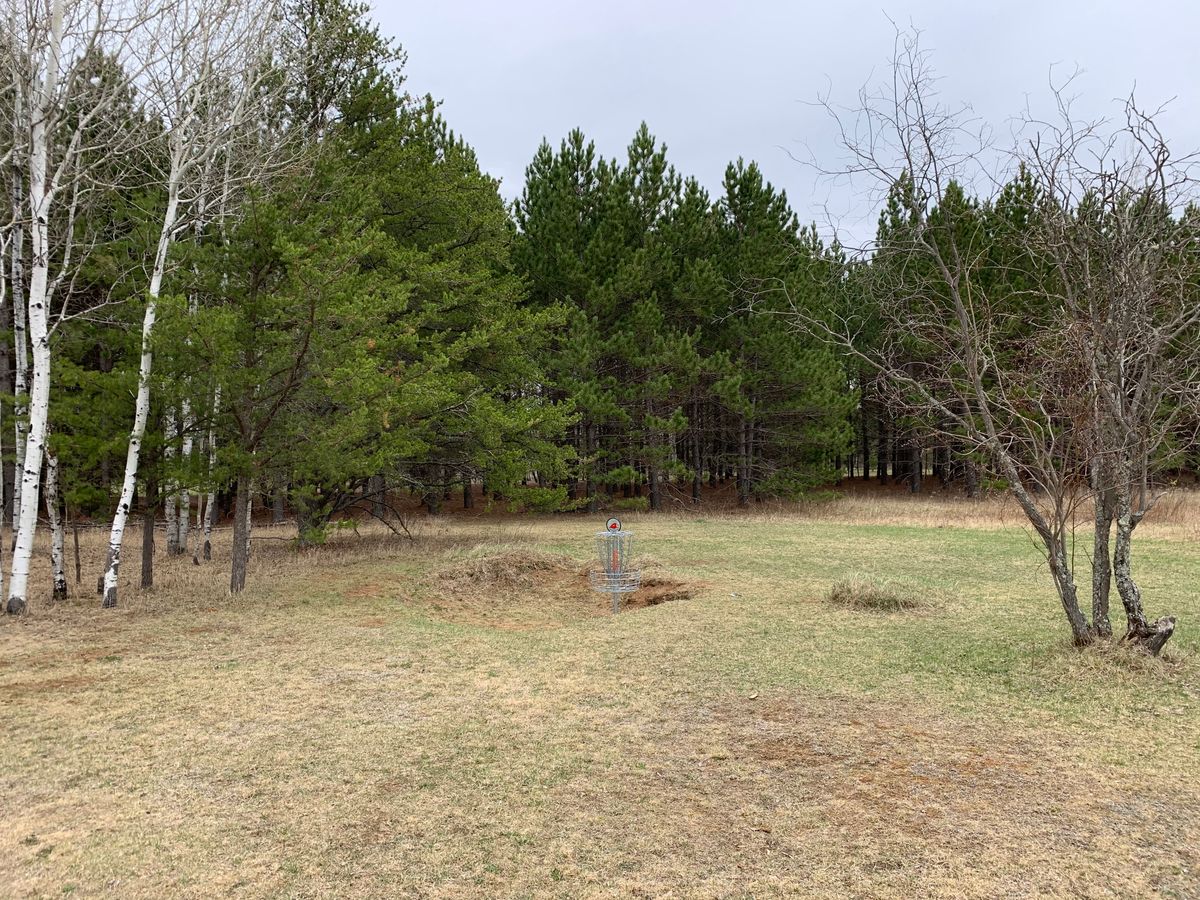 Hole 4 green