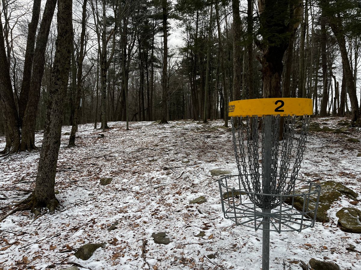 Hole 2 basket looking back towards teepad