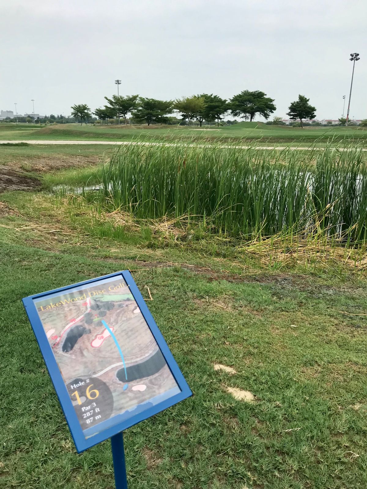 Hole 16 Tee