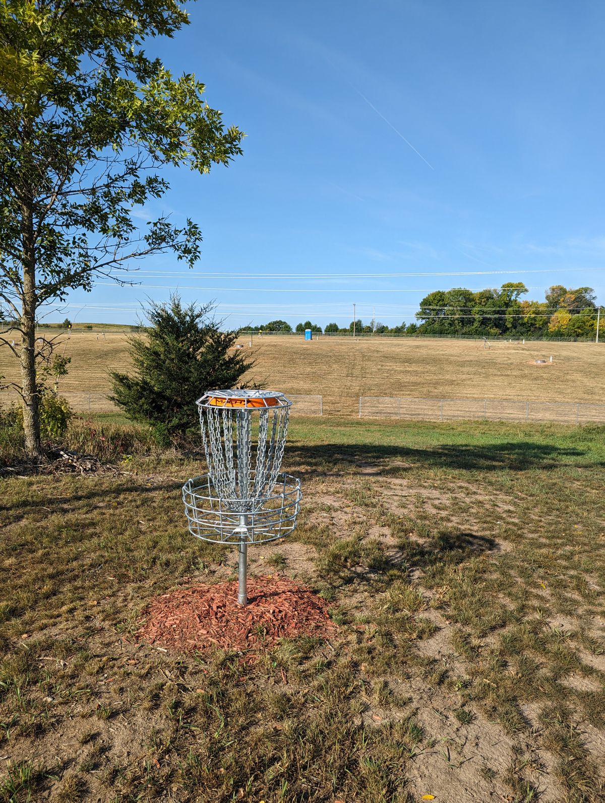 Short Basket looking back at fairway