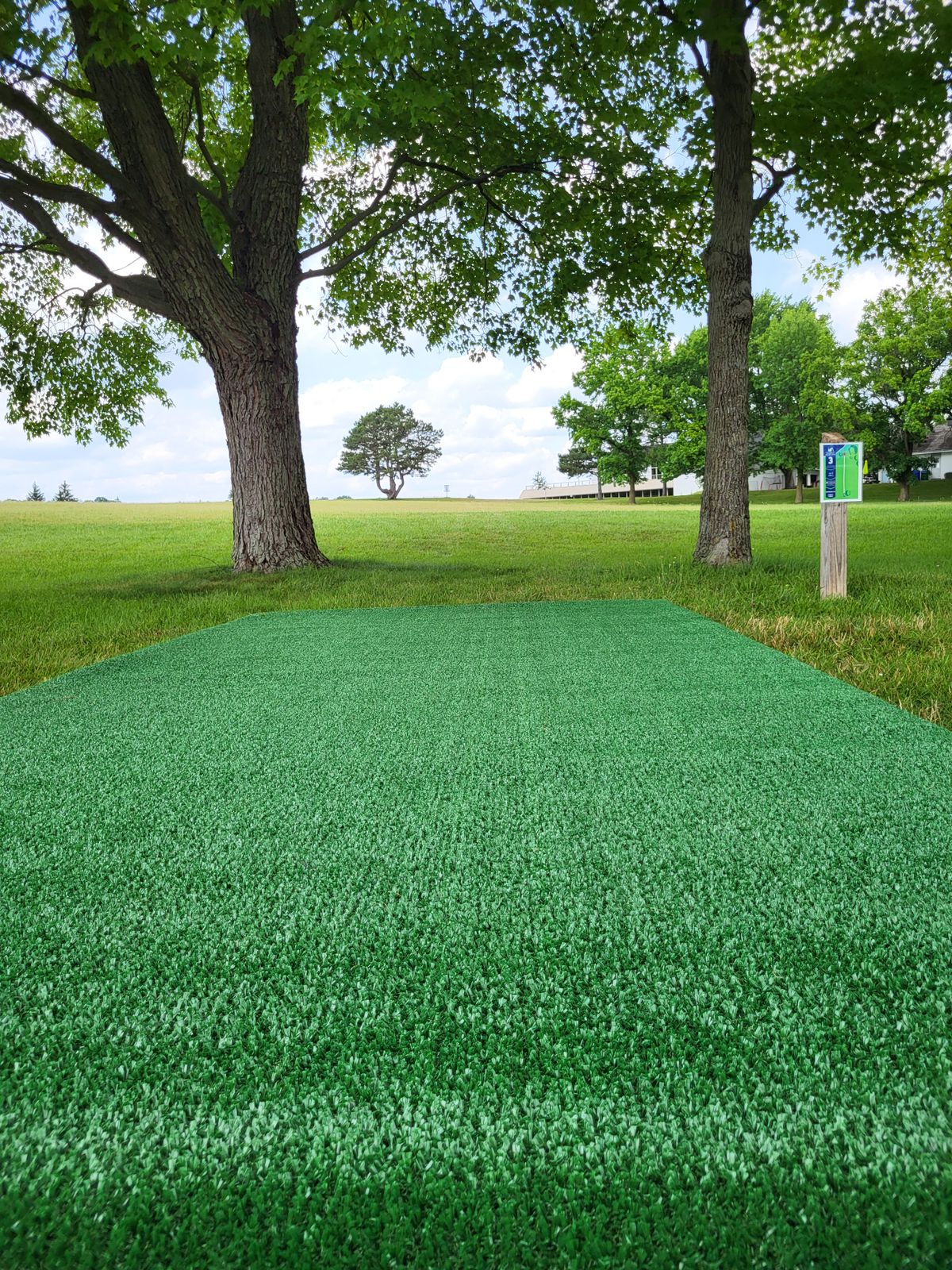 Hole 3 tee