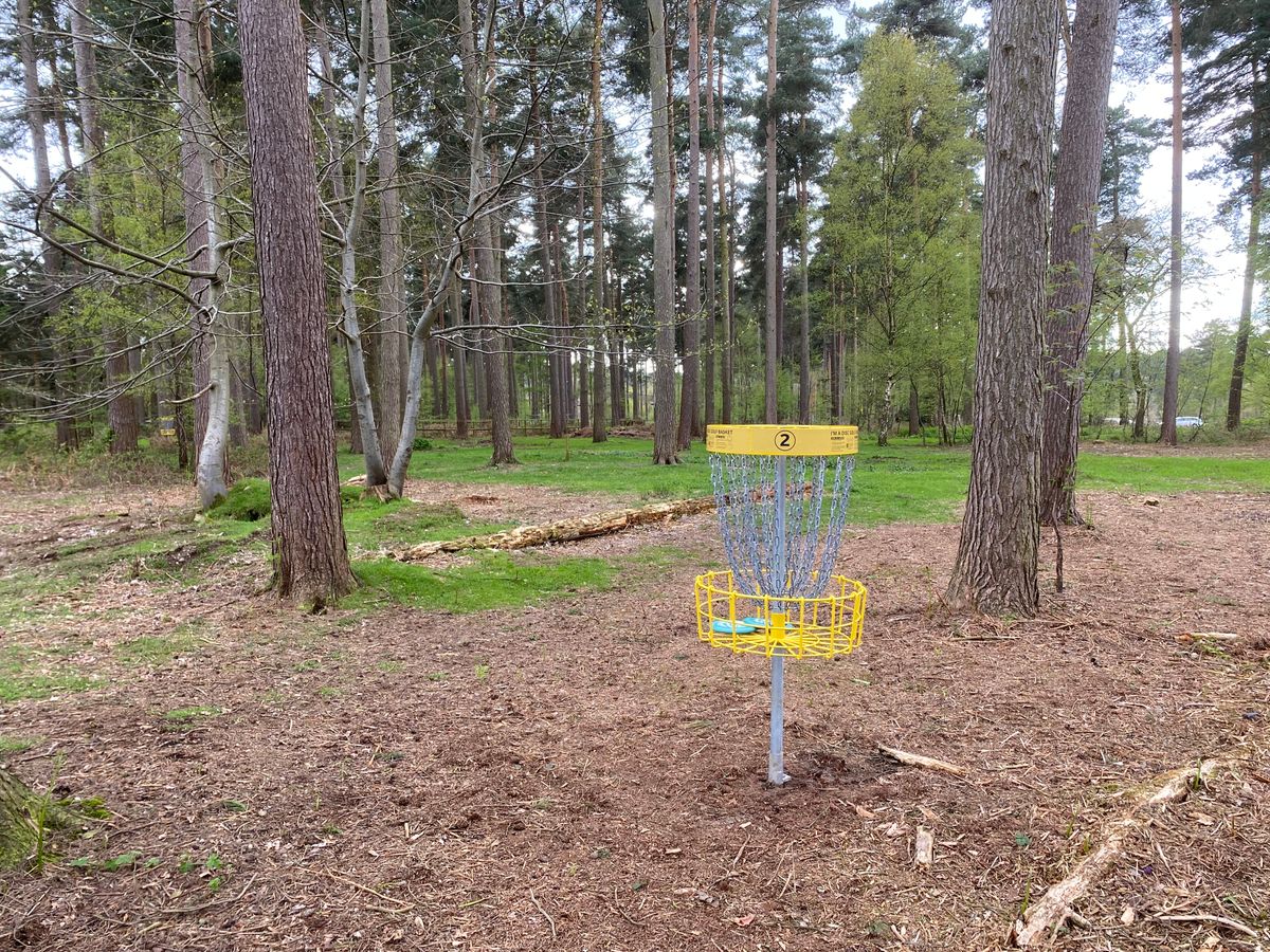 Basket2 looking back down the fairway