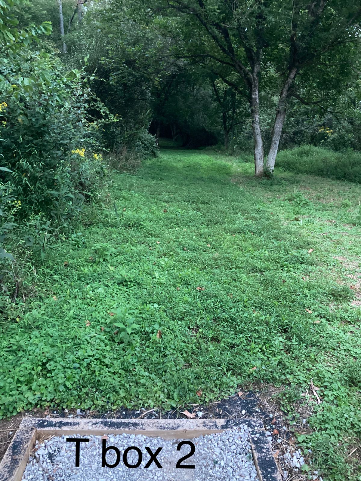 Hole 15