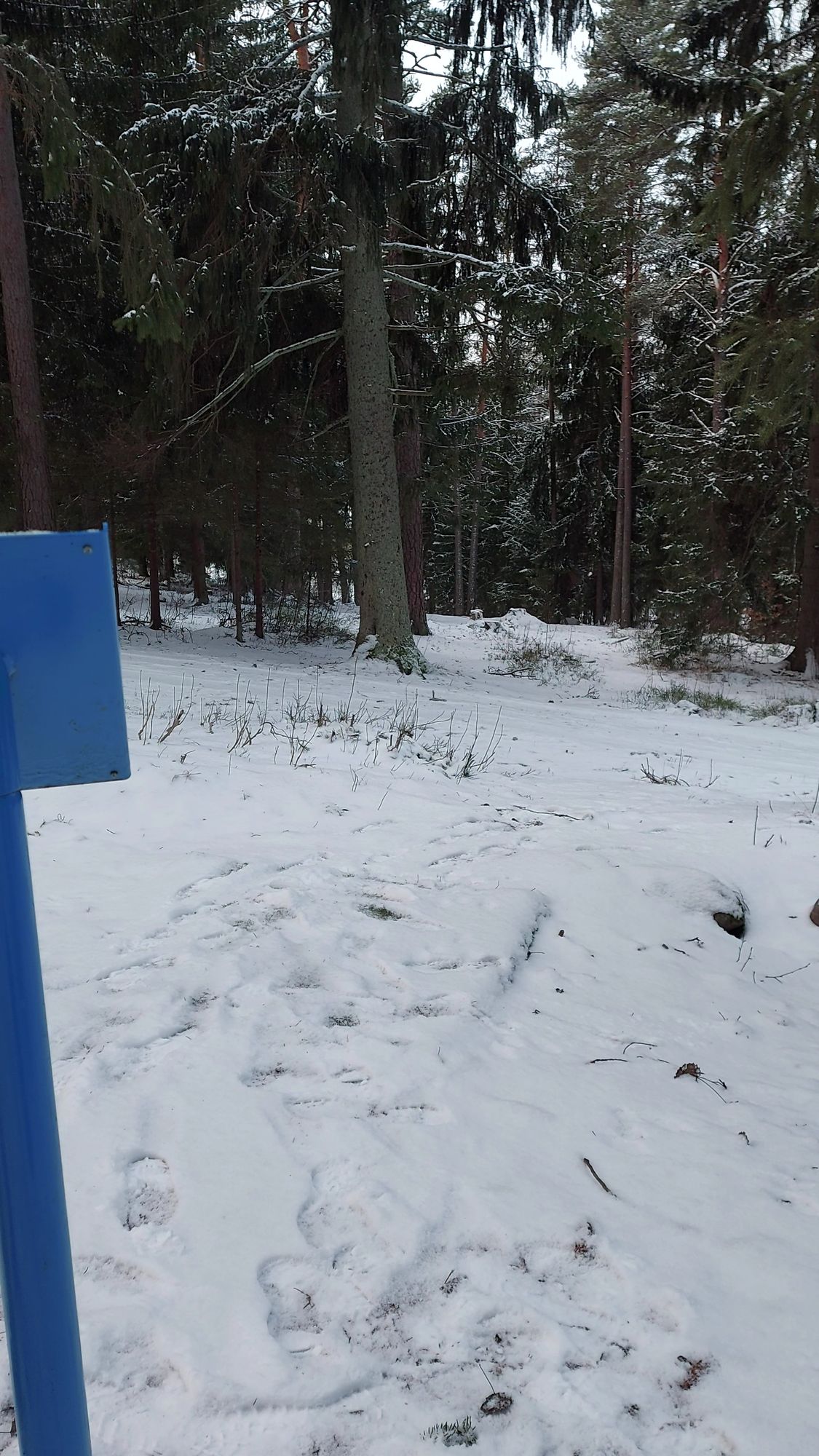 Väylä 6