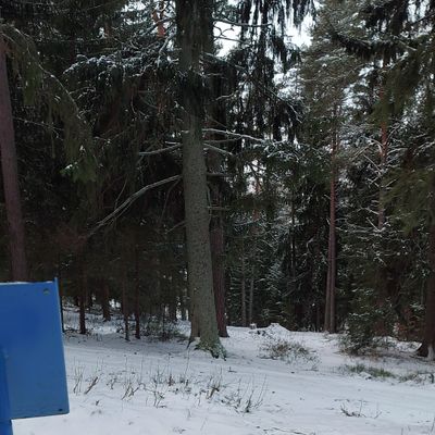 Väylä 6