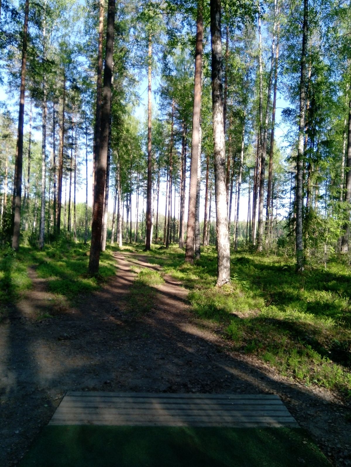 Väylä #20 (4.6.2021).