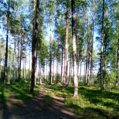 Väylä #20 (4.6.2021).
