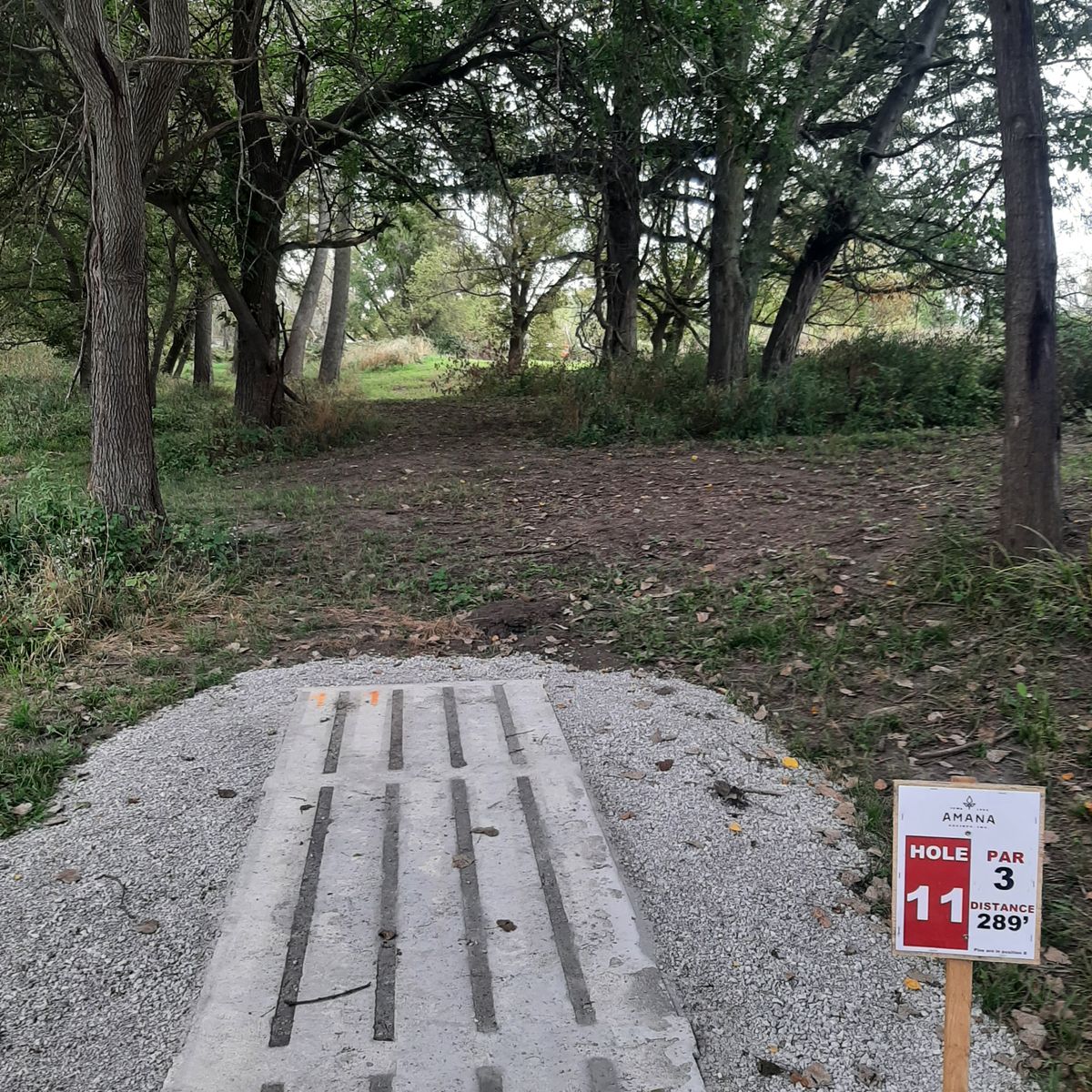 Hole 11 Pad