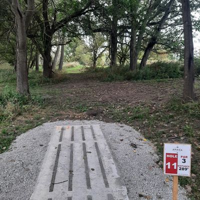 Hole 11 Pad