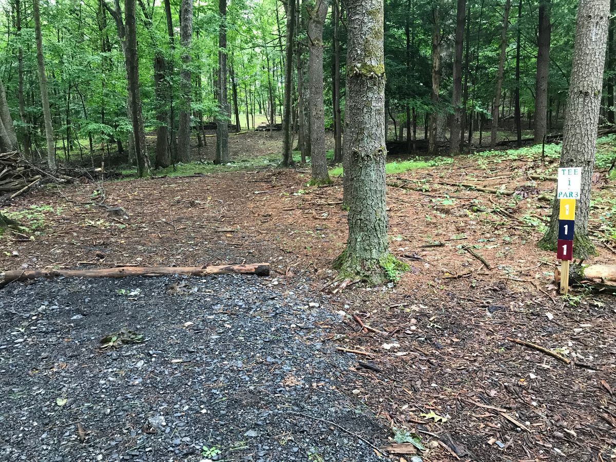 Hole #1