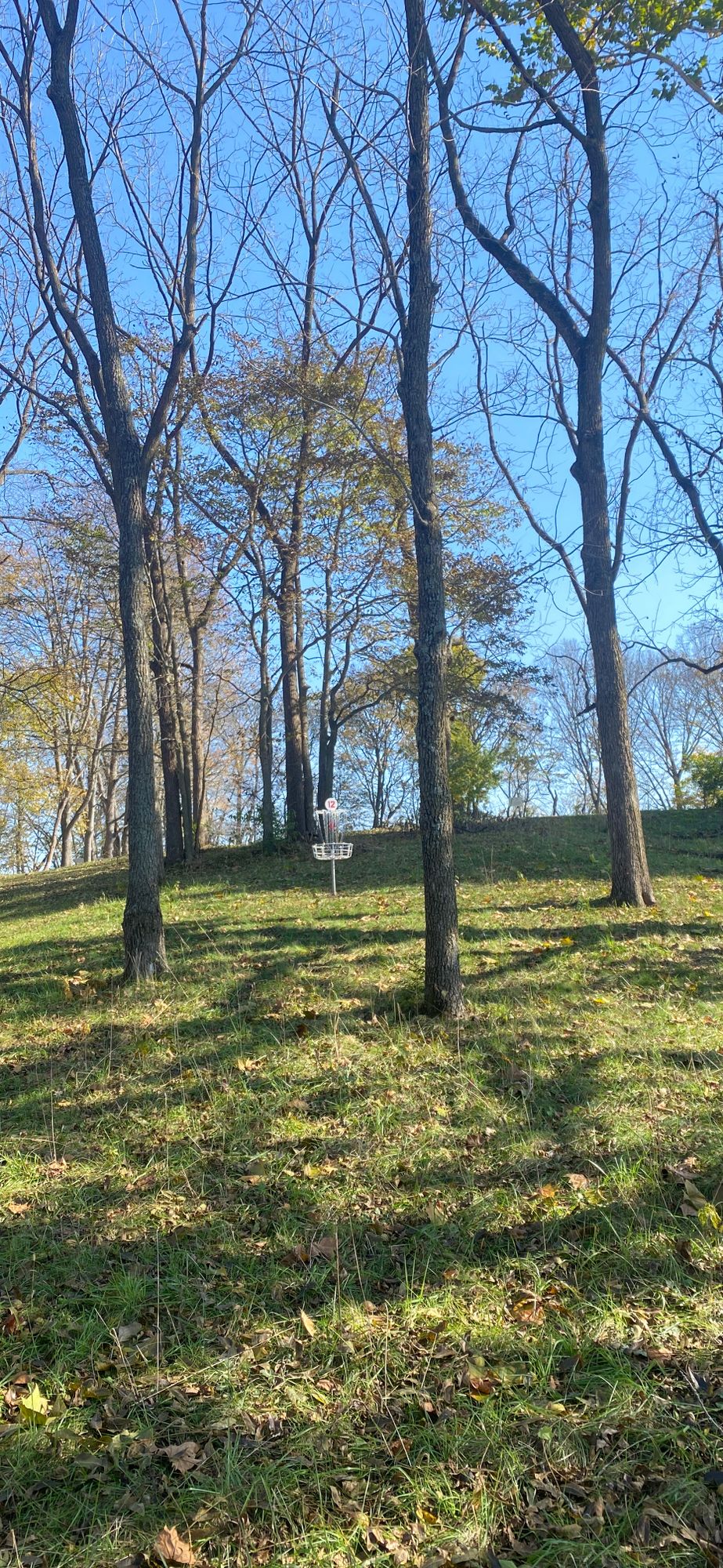 Hole 12 green