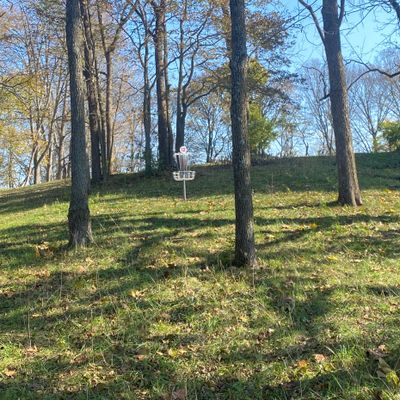 Hole 12 green