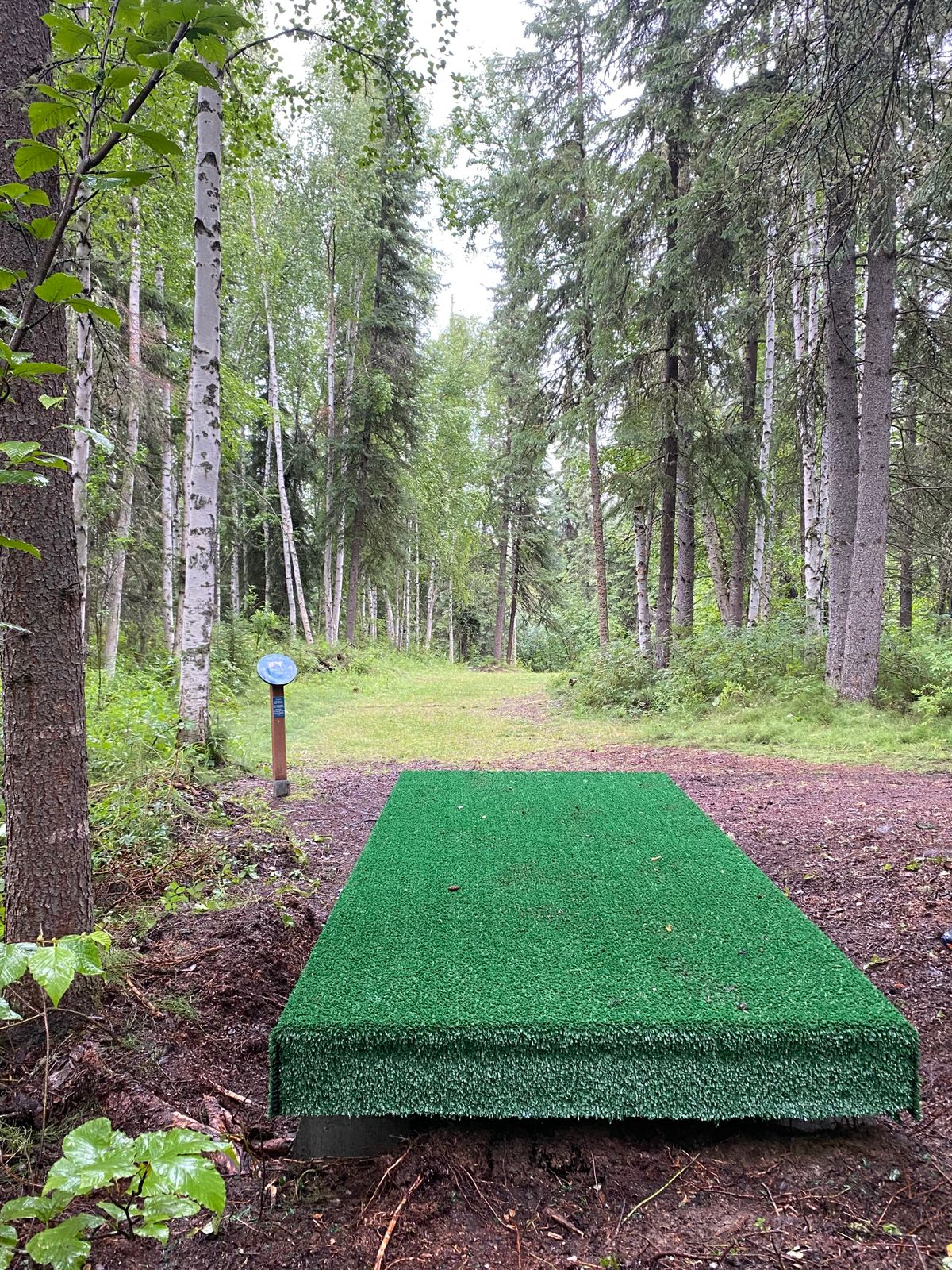 Hole 4 tee pad, follow dog leg right with a hyzer to the basket