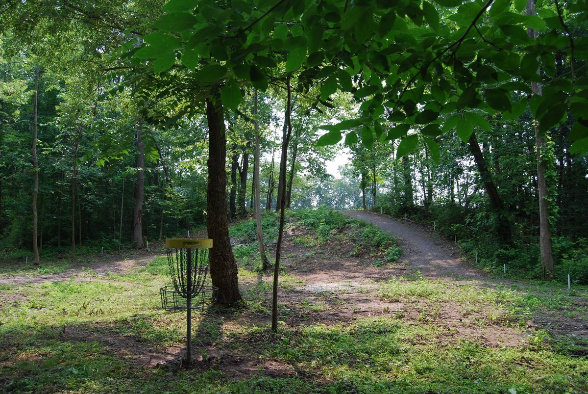Hole 1 short position looking back down fairway