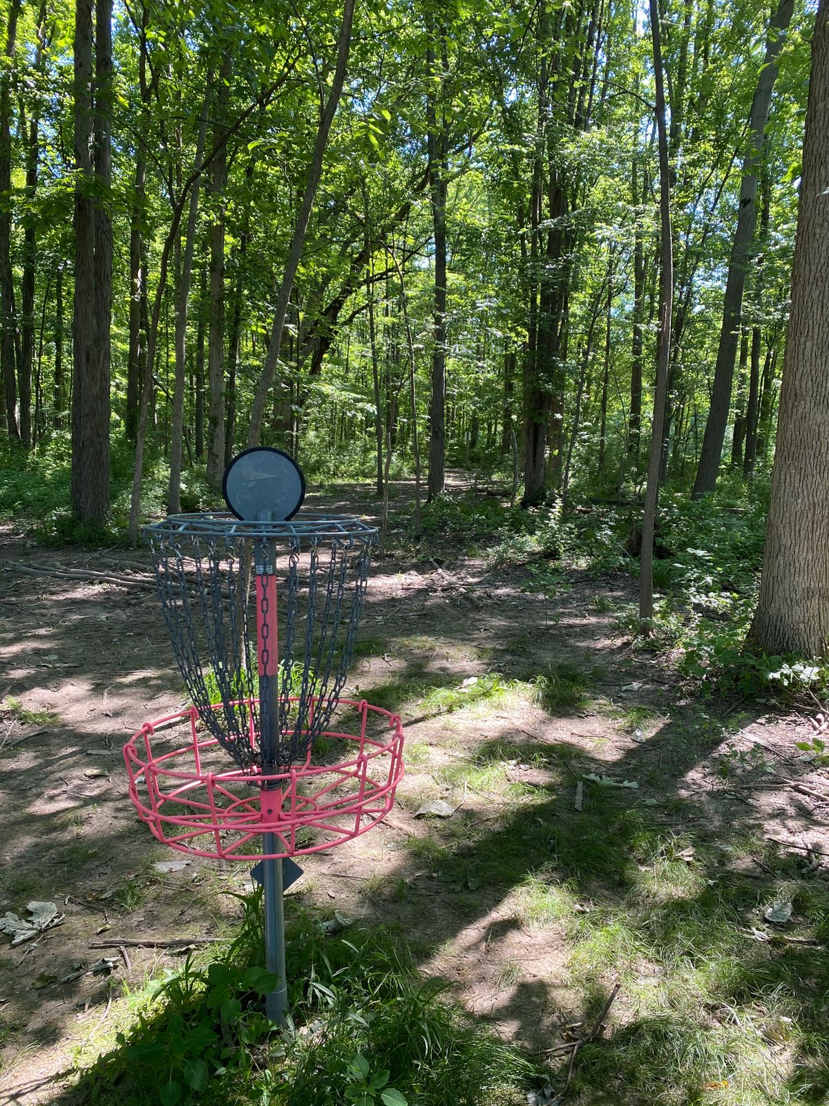 Hole 3 (Reverse)