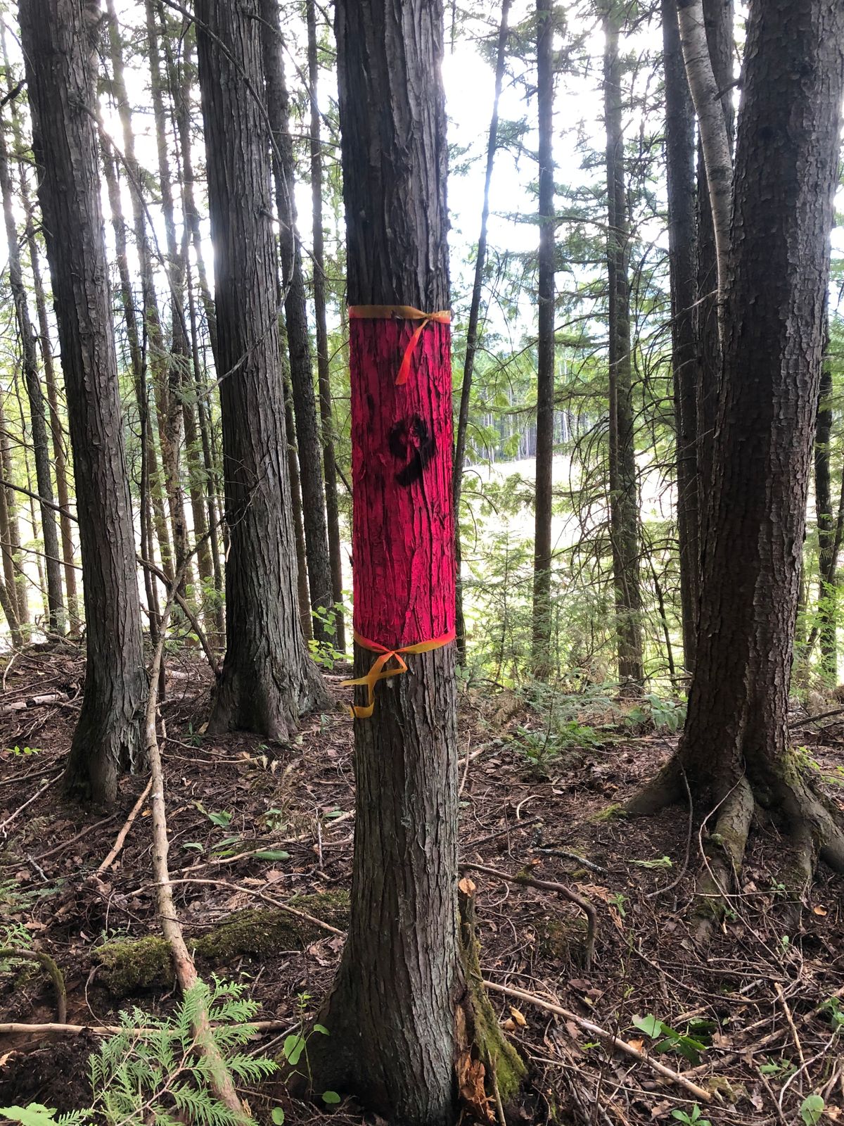 Hole 9 object