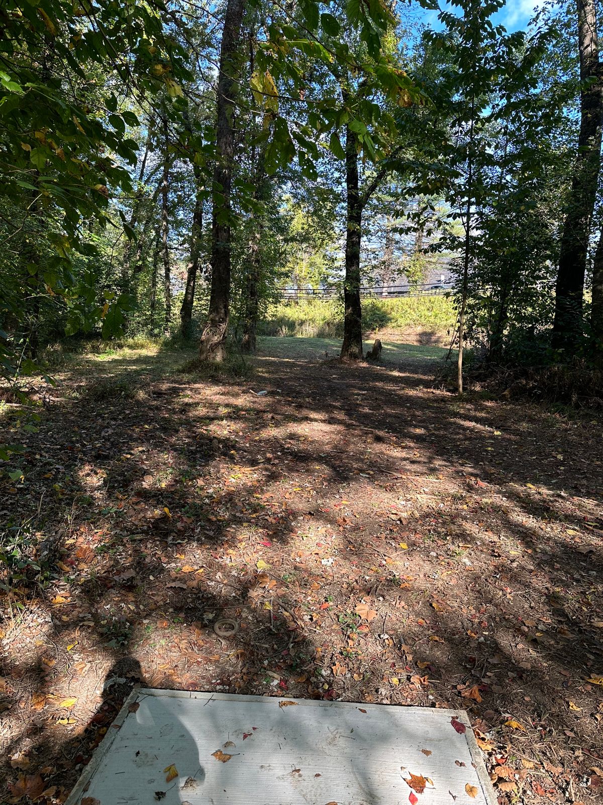 Hole 8