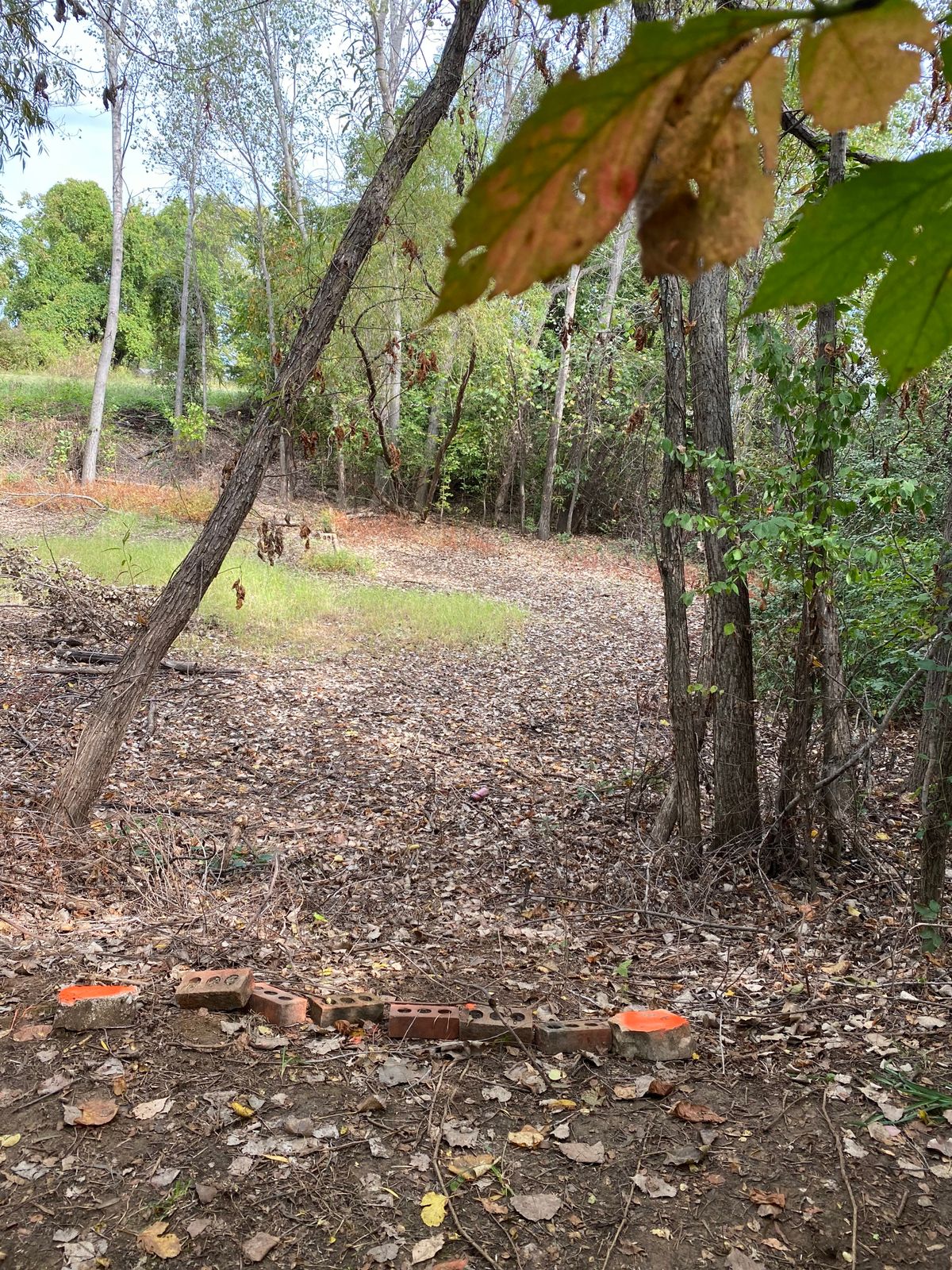 Hole 16 tee
