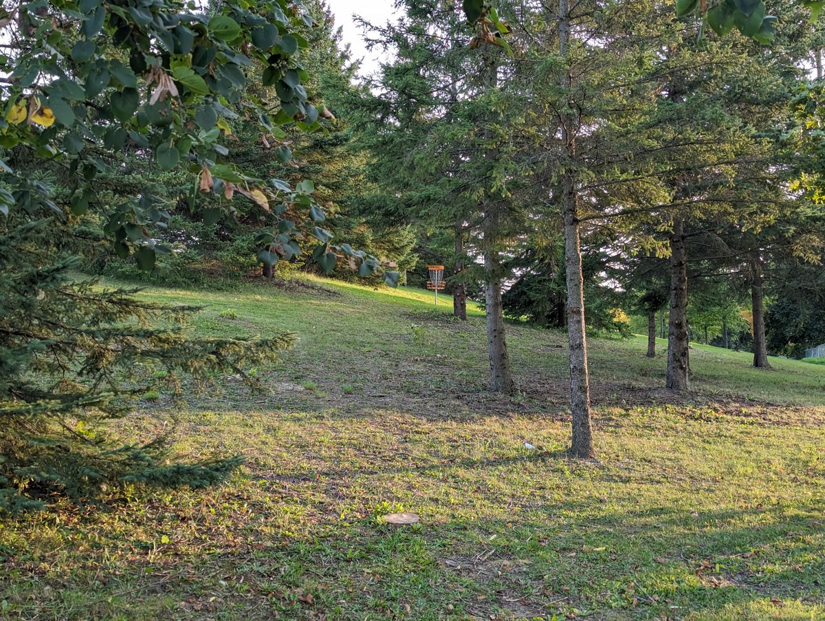 Hole 2 Basket.