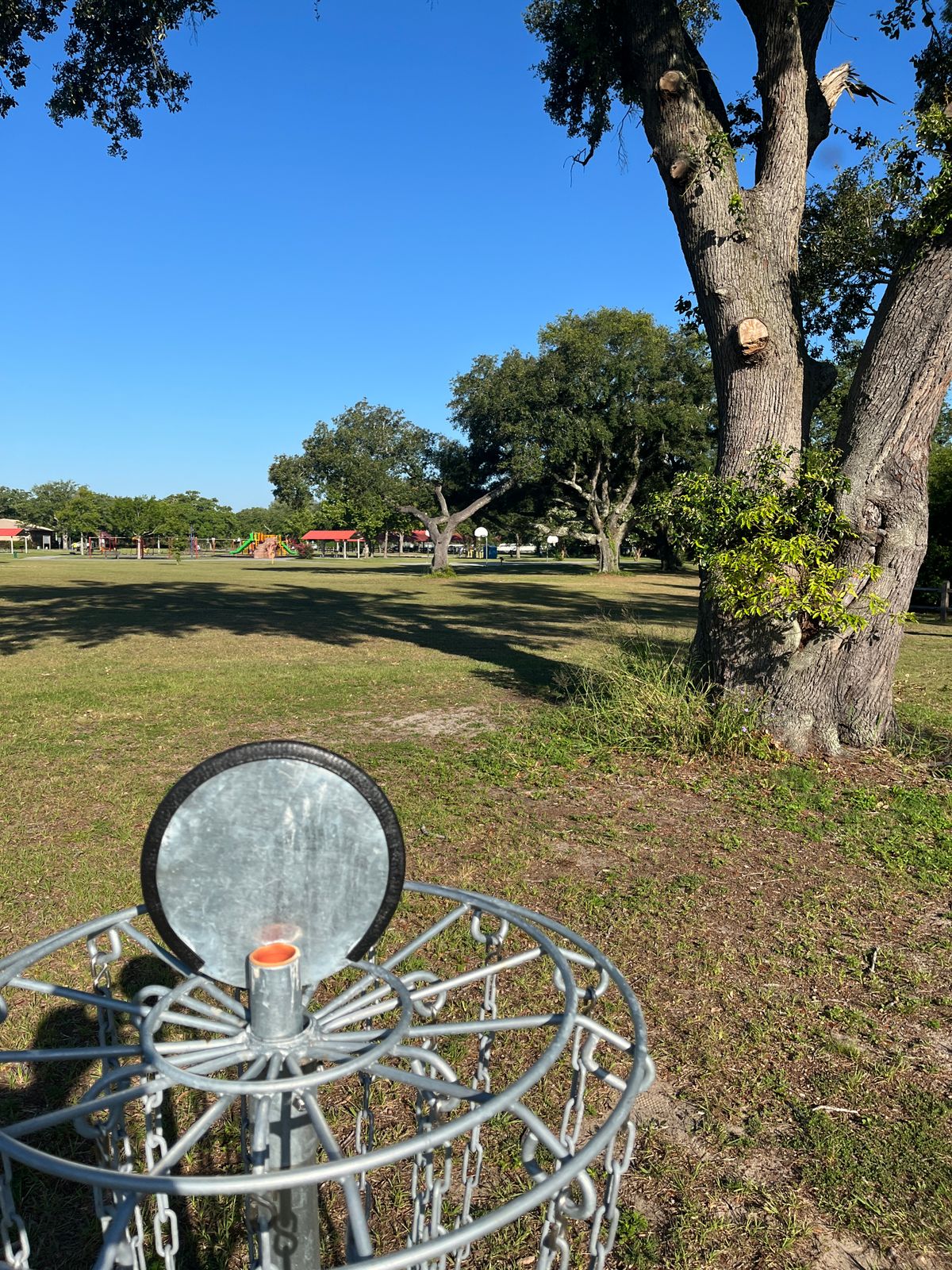 Hole 7 Basket to Tee