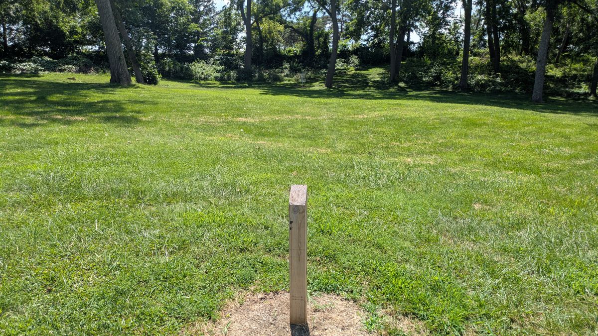 Tee #3