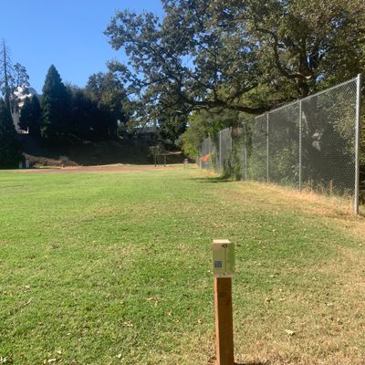 Tee 4. OB right of fence