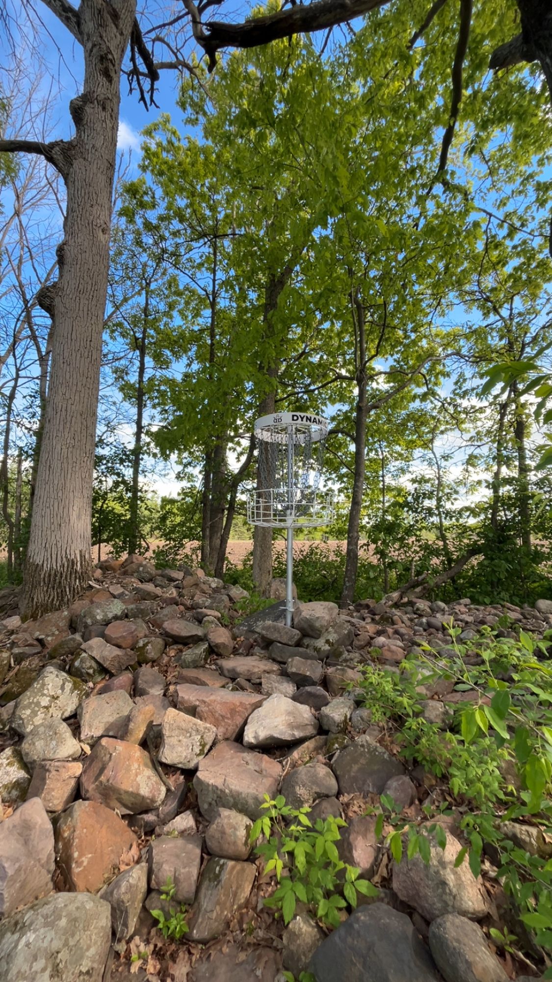 Hole 4 basket